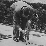 LEESVOORSTELLING – Het hol van de eeuw