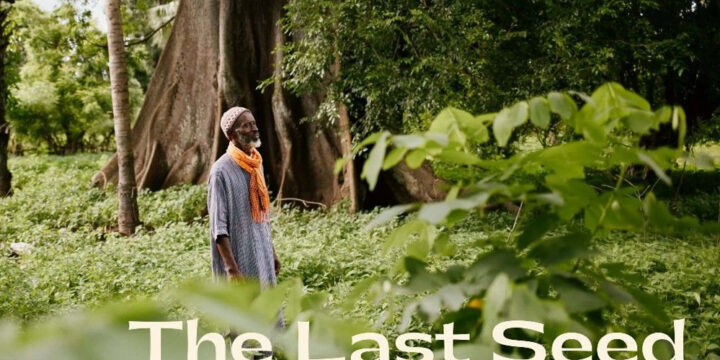 20 november, 19:30 – Film: The Last Seed
